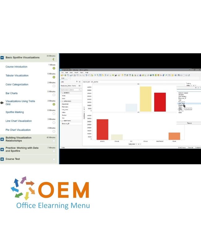 OEM TIBCO Spotfire Training
