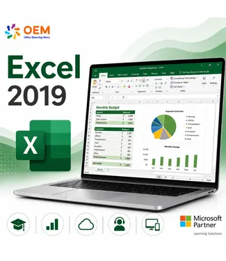 Microsoft Excel 2019 Basis Cursus E-Learning + Online boek