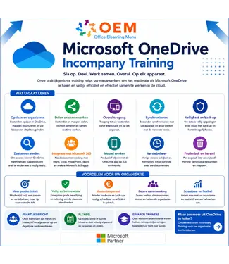 Microsoft Microsoft OneDrive Incompany Training