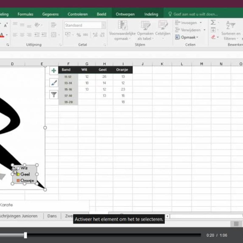 Excel 2016 Gevorderd E-Learning