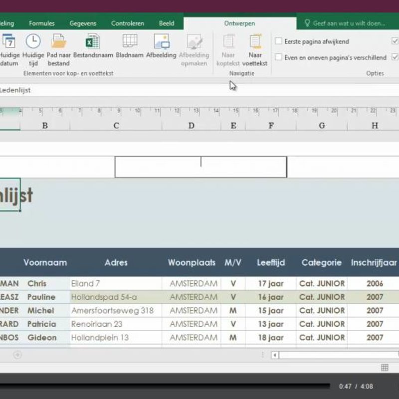 Excel 2016 Maatwerk E-Learning