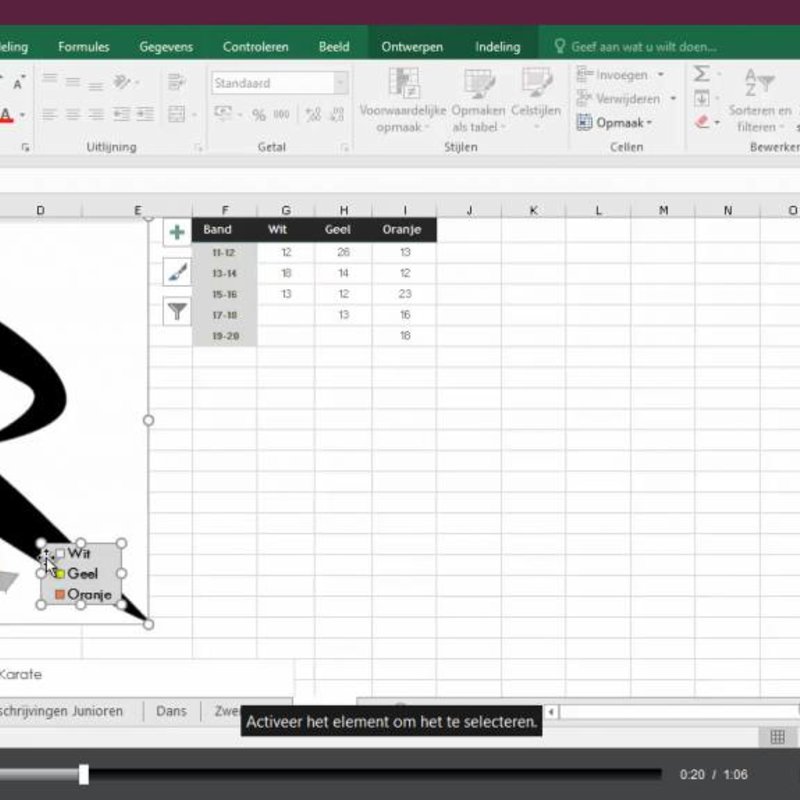 Excel 2016 Maatwerk E-Learning