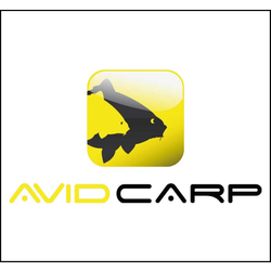 Avid Carp