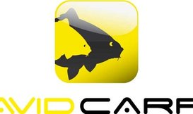 Avid Carp