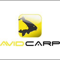 Avid Carp