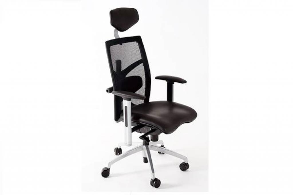 Ergonomische Bureaustoel Wierden Ergonomische Bureaustoel Wierden