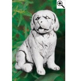 Demmerik 73 A270 Hond