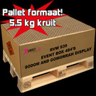 Elite Brand Event Event Sodom and Gomorrah 484's