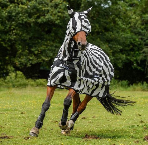Bucas Bucas Buzz-Off Full Neck Zebra Bucas Bucas Buzz-Off Full Neck Zebra
