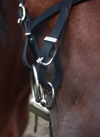 Racing Tack Synthetic bridle beta