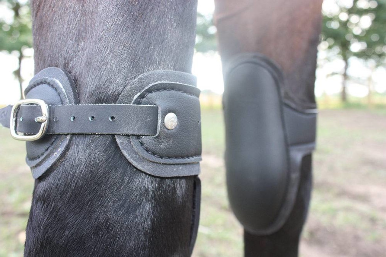 Racing Tack Guêtres de genoux