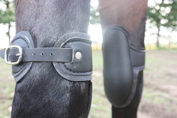 Racing Tack Guêtres de genoux