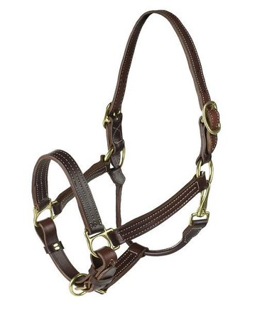 FinnTack Lederen Halter Amerikaans Model FinnTack Lederen Halter Amerikaans Model