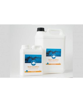 AVS Equine Exell Condition