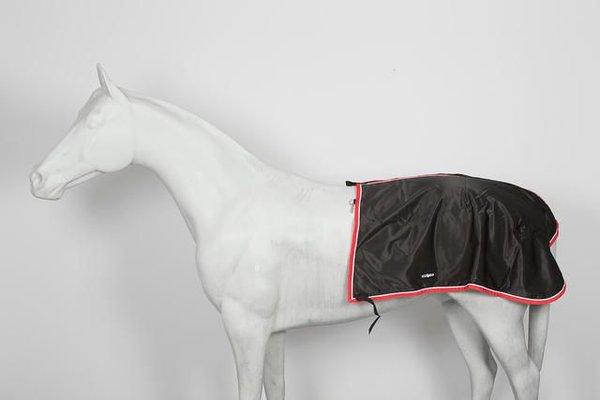 FinnTack Nierdeken zweeds model