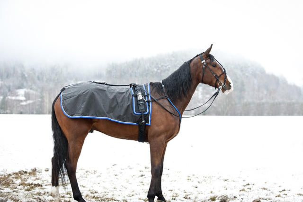 FinnTack Trainings & regen-deken FinnTack Trainings & regen-deken