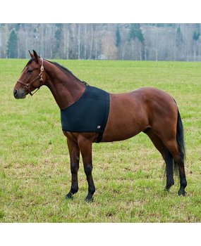 Schouder | borsbeschermer