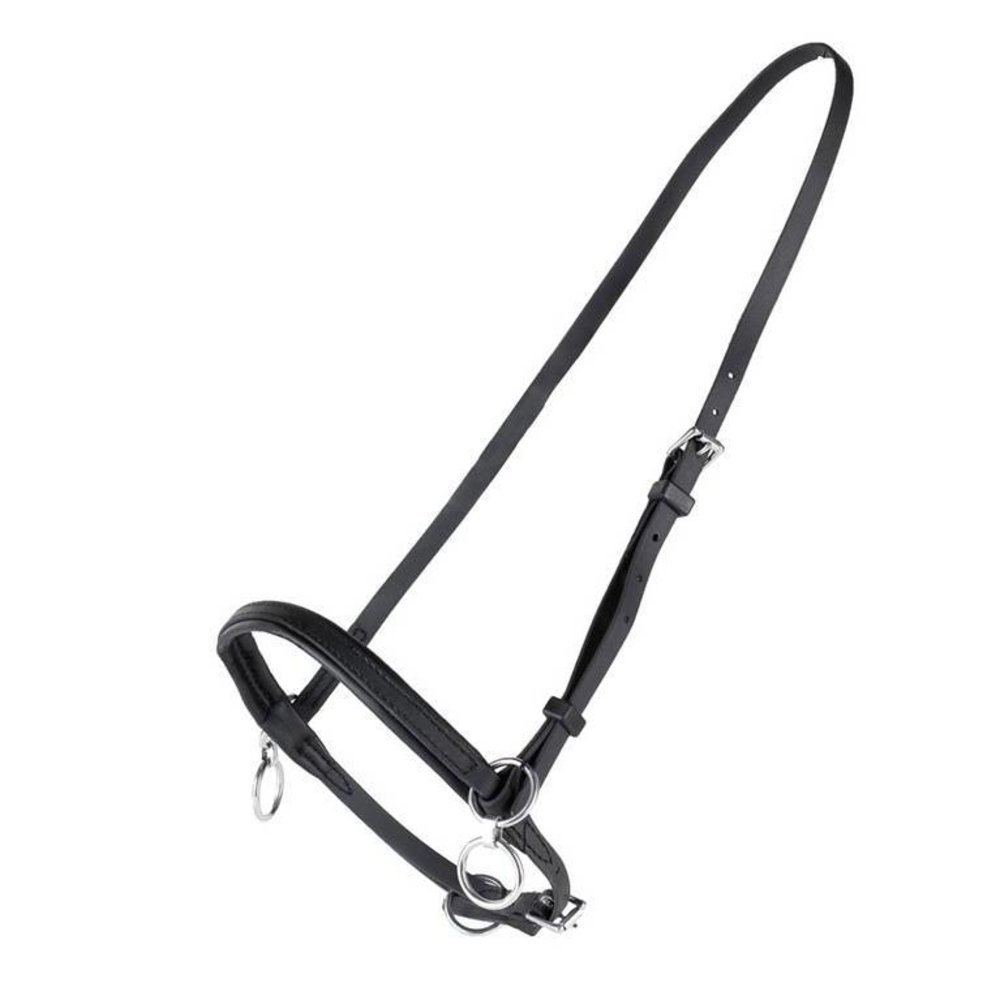 FinnTack Head halter synthetic