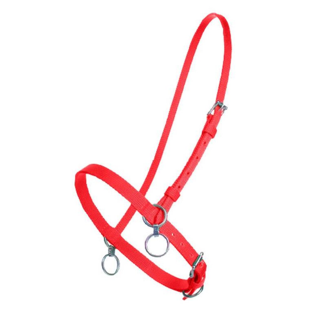 FinnTack Petit licol nylon FinnTack Petit licol nylon