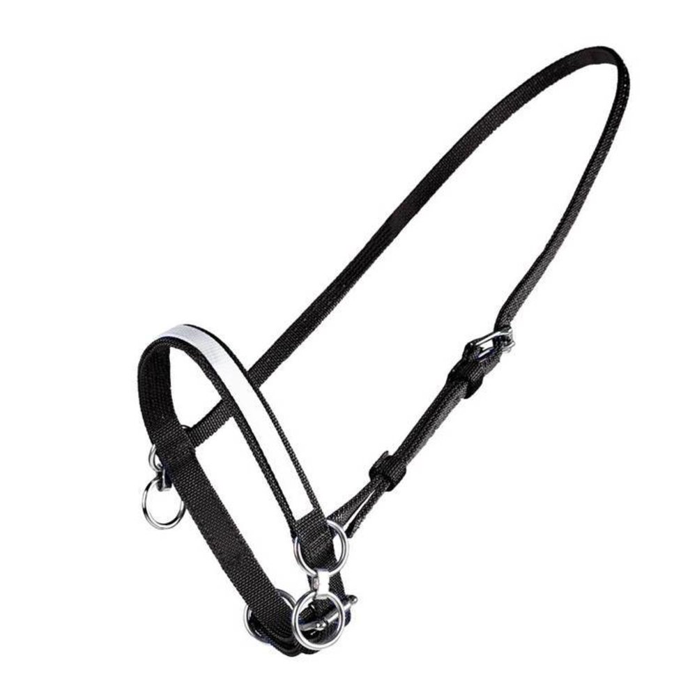 FinnTack Petit licol nylon FinnTack Petit licol nylon