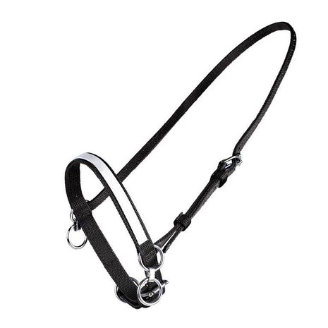 FinnTack Petit licol nylon FinnTack Petit licol nylon