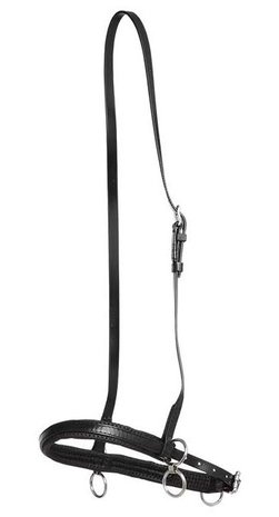 Head halter synthetic