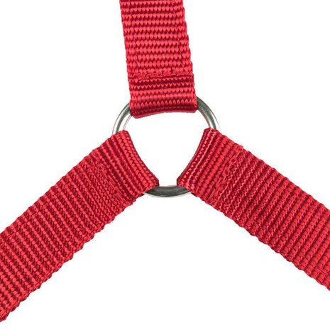 FinnTack Collier de chasse FinnTack Collier de chasse