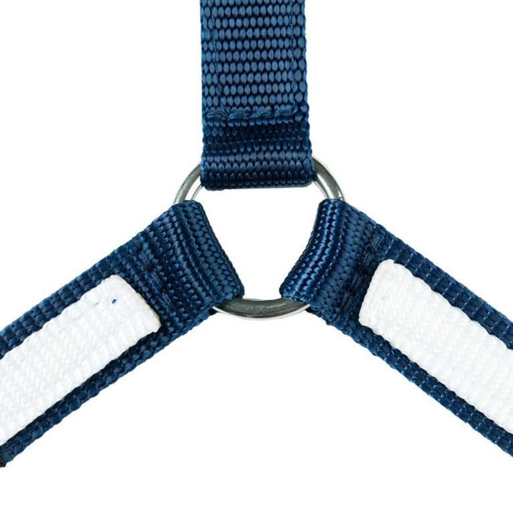 FinnTack Collier de chasse FinnTack Collier de chasse