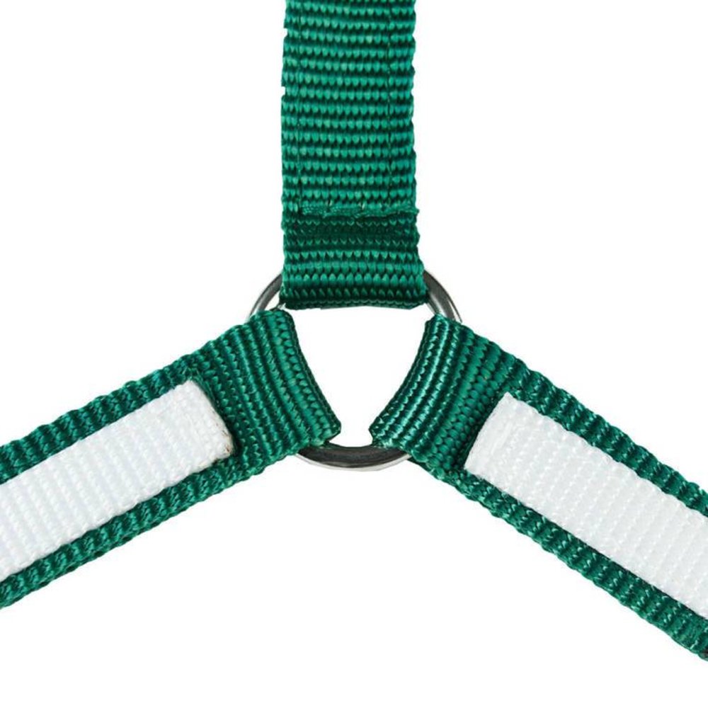 FinnTack Collier de chasse FinnTack Collier de chasse