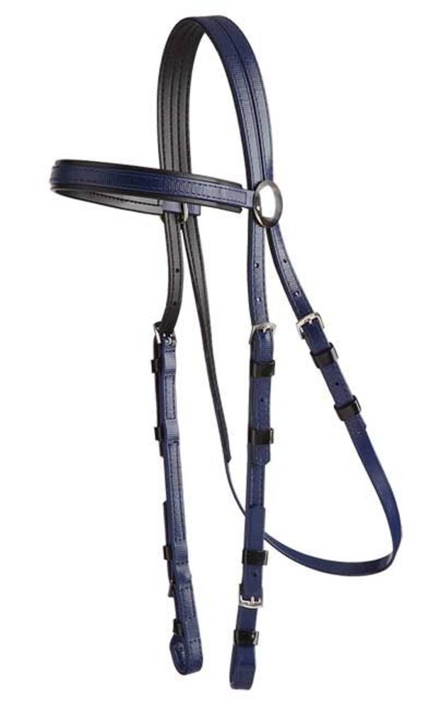 Zilco Bridle galop