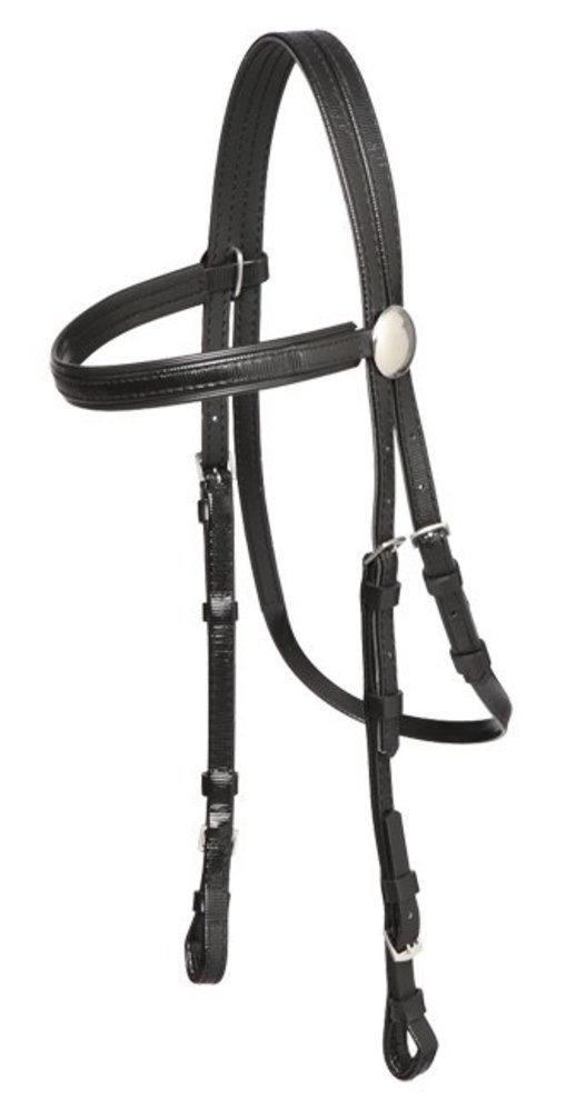 Zilco Bridle galop