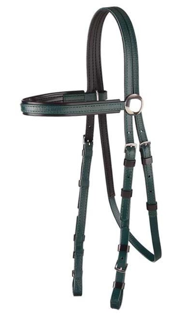 Zilco Bridle galop