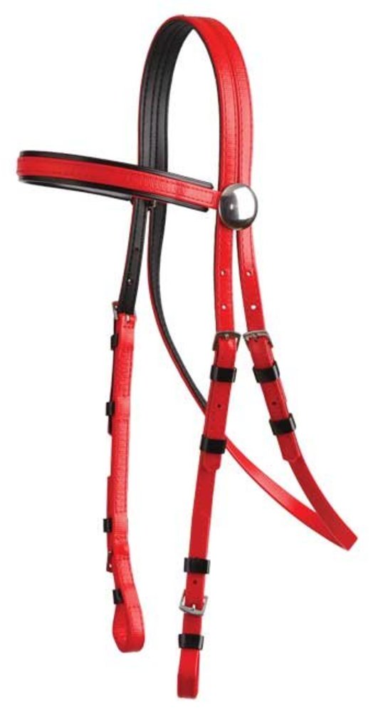 Zilco Bridle galop