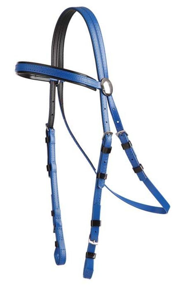 Zilco Bridle galop