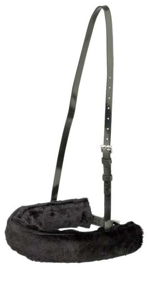 Zilco Katje voor neus Z