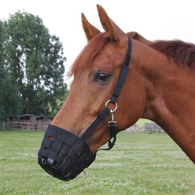 grazing muzzle for horse