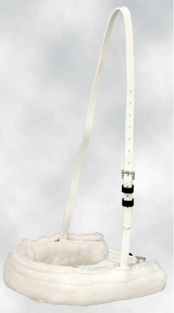 Zilco Katje voor neus Z