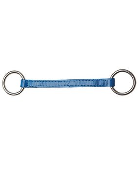 Alliance de Rênes Z