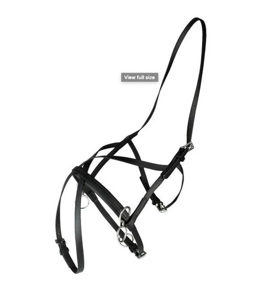 FinnTack Petit licol + Muserole FT