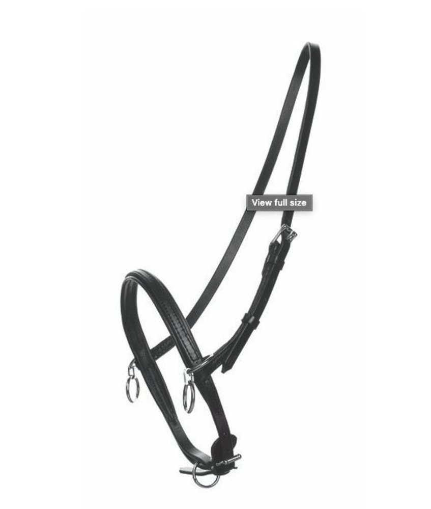 Racing Tack Petit licol cuir