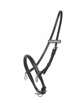 Racing Tack Head halter Leer