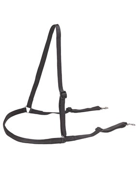 Zilco Borstriem  Web Zilco Borstriem  Web