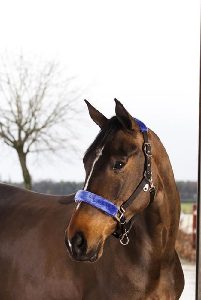 FinnTack Katje klein neusriem FT