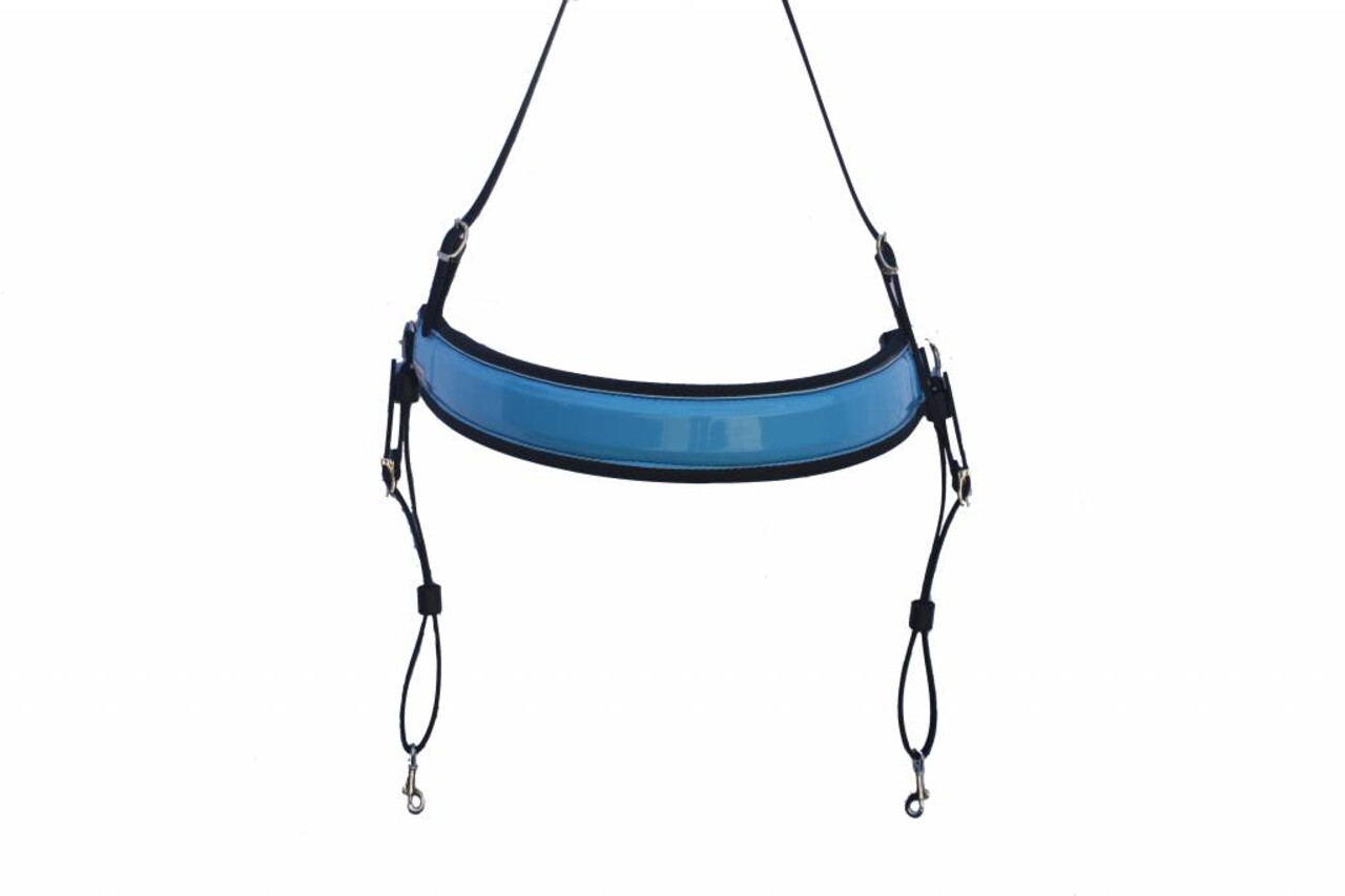 Racing Tack Borstriem tradi breed Racing Tack Borstriem tradi breed