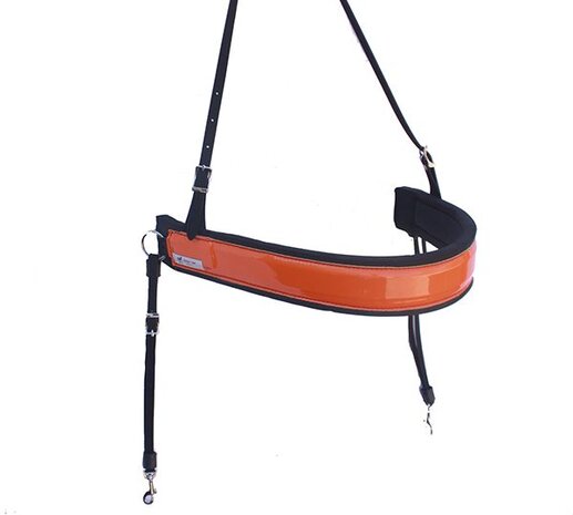 Racing Tack Borstriem tradi breed Racing Tack Borstriem tradi breed
