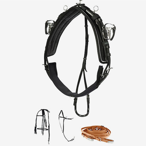 FinnTack Harnais QH FT complete beta FinnTack Harnais QH FT complete beta