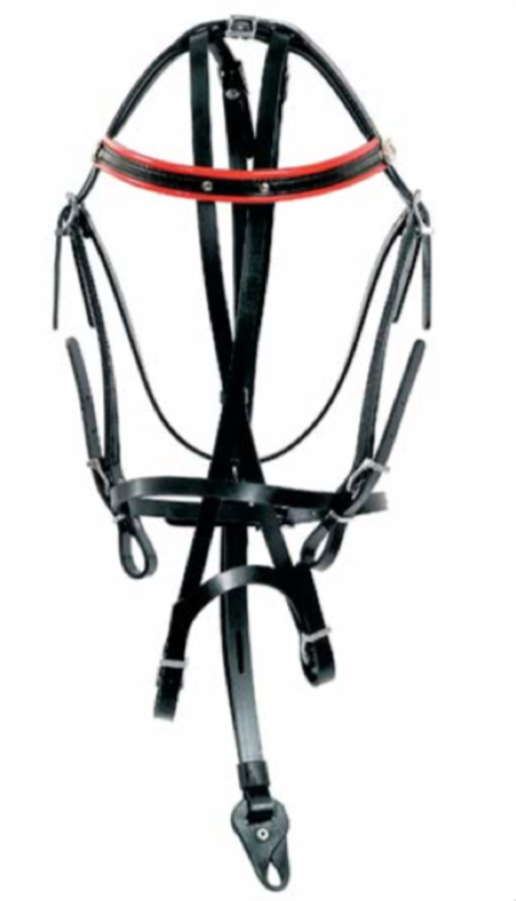 Racing Tack Synthetic bridle beta