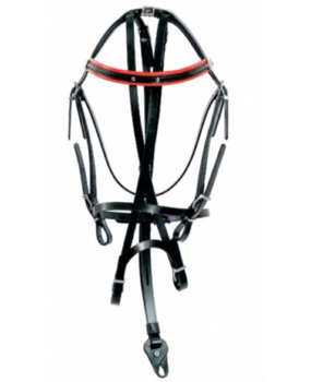 Racing Tack Bride synthétique beta