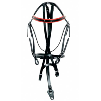 Racing Tack Synthetic Bridle FT