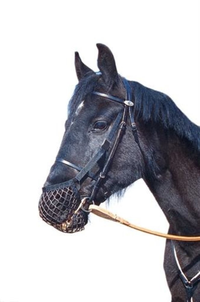 Wahlstén Net Caveson